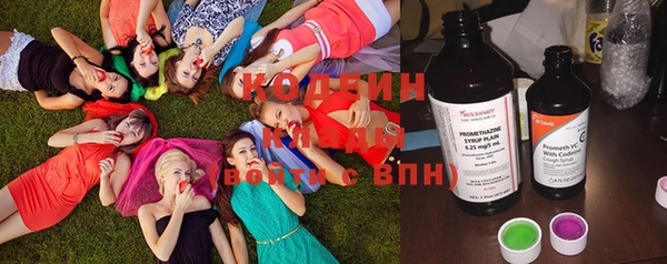 крисы Мегион