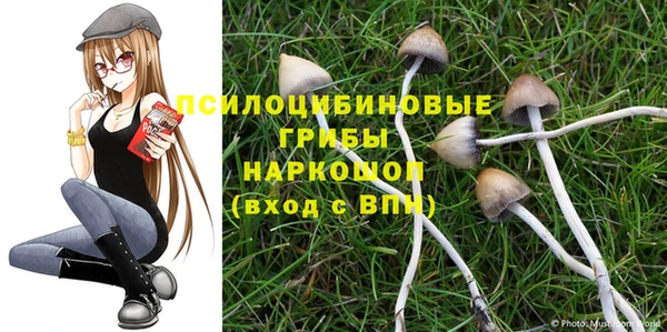 крисы Мегион